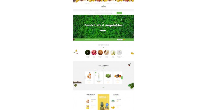 food store- healyh ORGANIC FOOD , responsible and HQ