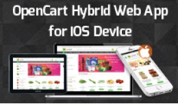 Hybrid Web App for iPhone 7, 8 and X with push n..