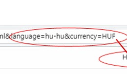 Change language and currency by url parameter