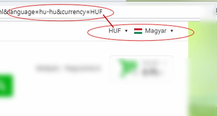 Change language and currency by url parameter