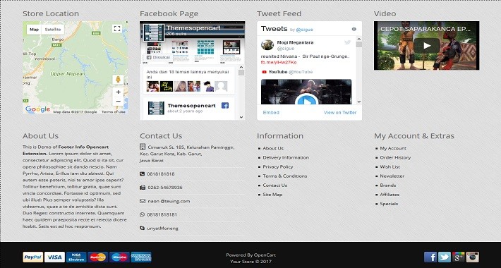 Custom Footer Info