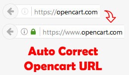 Auto correct opencart urls
