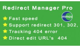 Redirect Manager Pro (303, 302, 301 - SEO, 404)