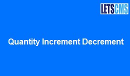 Quantity Increment Decrement