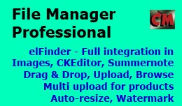 File Manager Professional