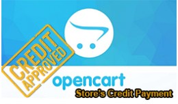 Store's Customer Credit