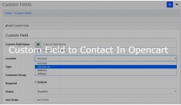 Add custom fields in contact