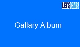 Gallery Album
