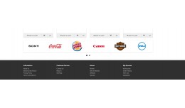 Multilingual Custom Footer