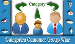 Category - Customer Group Wise