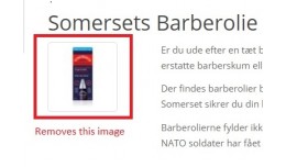 Remove image from category description