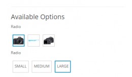 product's option image(商品选项图片)