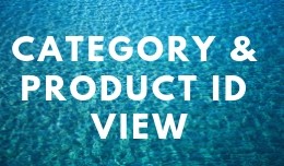 Category ID & Product ID View