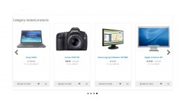 Category related products（同分类相关商..