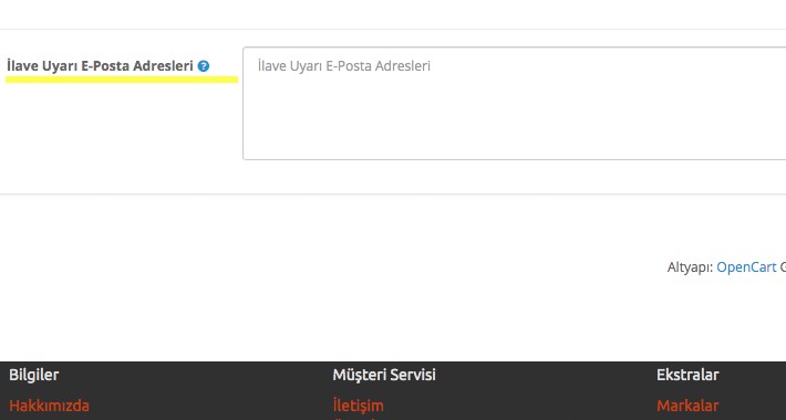 İlave E-posta Ekleme Hatası