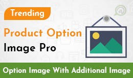 Product Option Image Pro