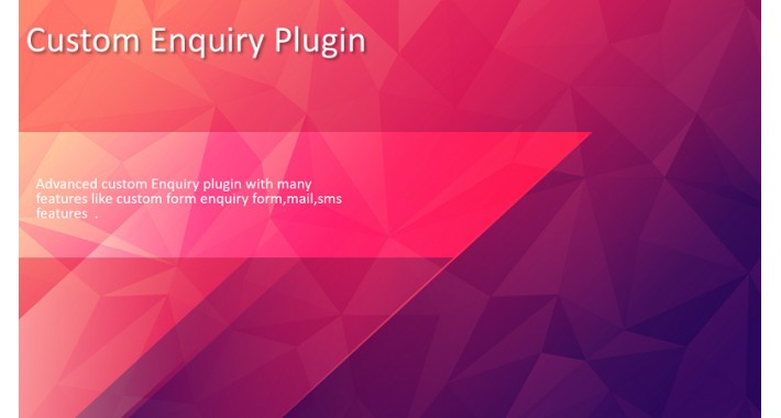 Custom Enquiry Plugin