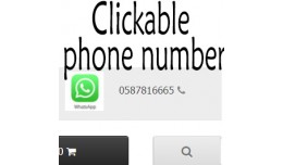 Make Phone Number Clickable + Unlimited length +..