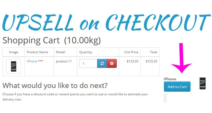 Upsell on Cart & Checkout Page