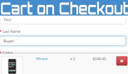 Show Cart On Checkout Page