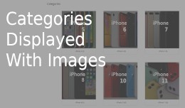 Categories with Images