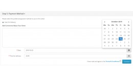 Delivery date and time