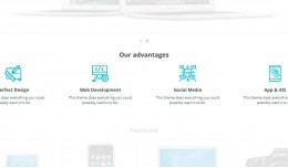 Advantages/Benefits listing with custom image 2...