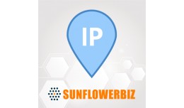Currency Based On IP