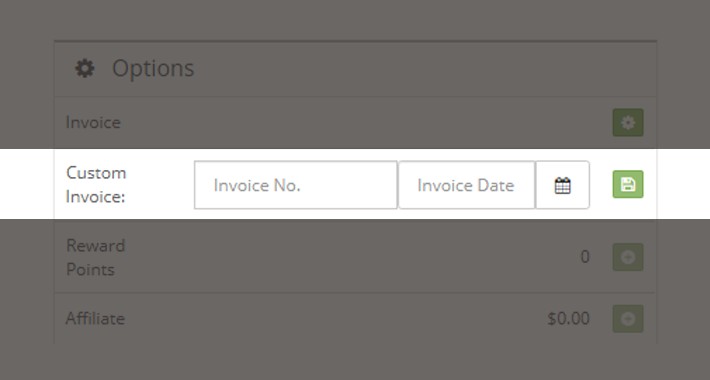Custom Manual Invoice Number