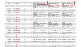 Tag and Meta Keywords from Product Name (phpmysql)