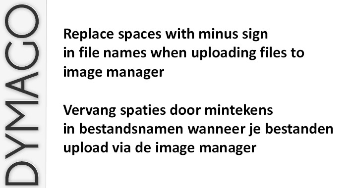 OpenCart Automatically Replace Spaces In File Names