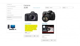 Product Overview Section on Category Page