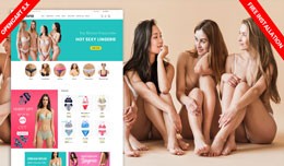 Panties & sex toys website template (Adult a..