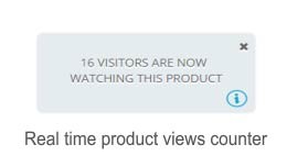 Ajax live product views counter