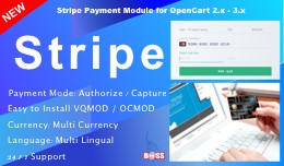 Stripe Payment Gateway Accept All Cards for Open..