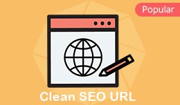 Clean SEO URL