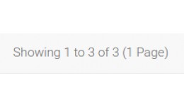 Fix Pagination Text