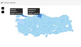 Türkiye Haritası - Admin Panel (Dashboard Turk..