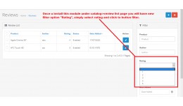 Admin Product Reviews filter by Rating