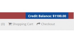 Credit Balance in Store Header