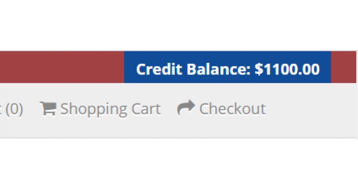 Credit Balance in Store Header