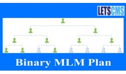 Binary MLM Plan