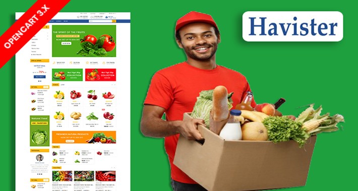 Havister – Grocery & Organic Store opencart theme