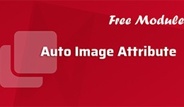 Auto Image Attribute