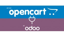 Odoo 13 connector PRO 2021