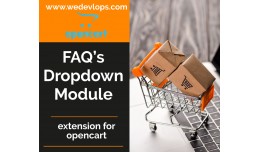 FAQ - Frequently Ask Question Drop Down