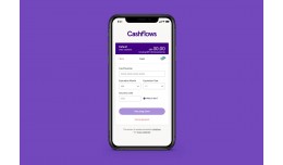 Cashflows Hosted Payment Page Quick installation..