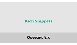 Rich Snippets