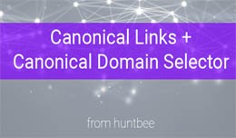Canonical Links + Canonical Domain Selector