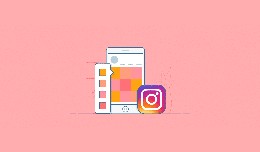 Instagram Feed 2020